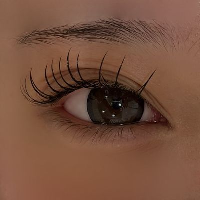 ダブルフラット50セット