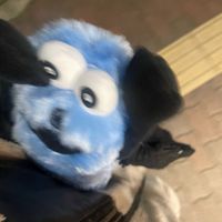 MaisonSimba_sumida
