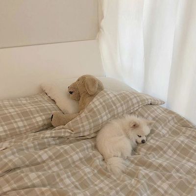 フットワンカラー