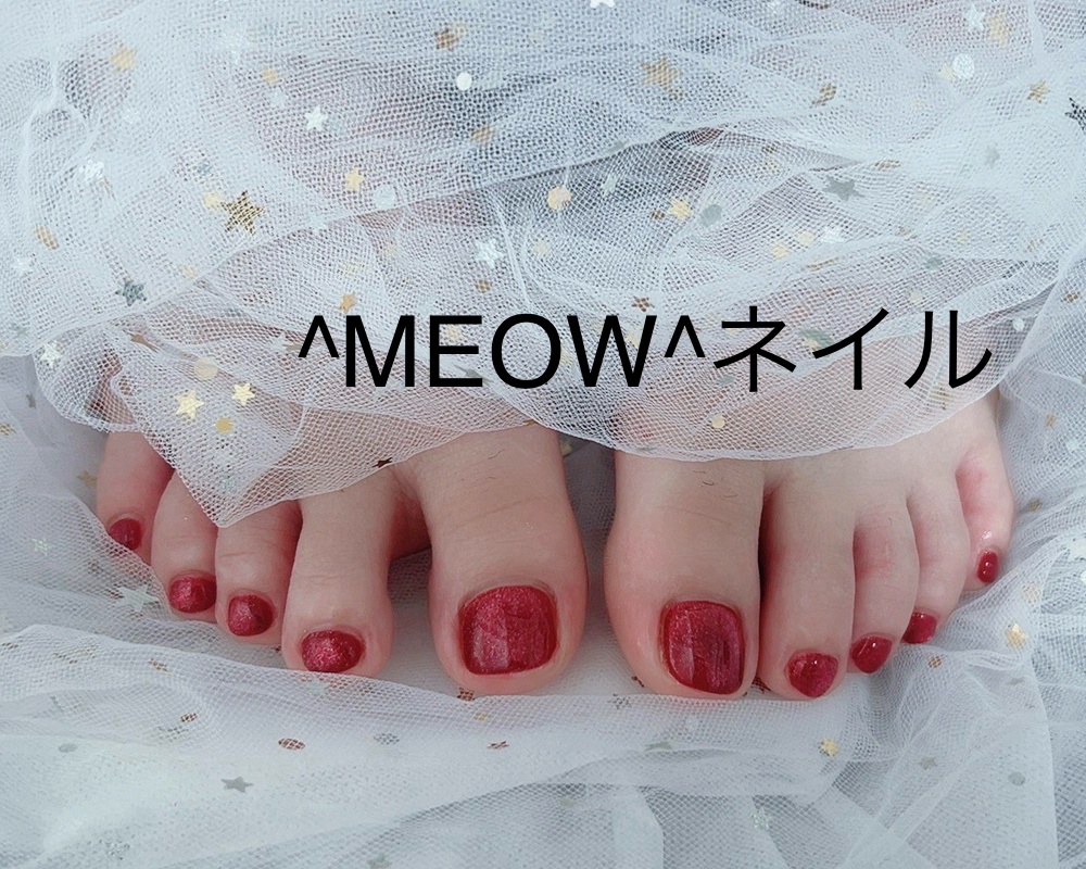 MEOW_salon
