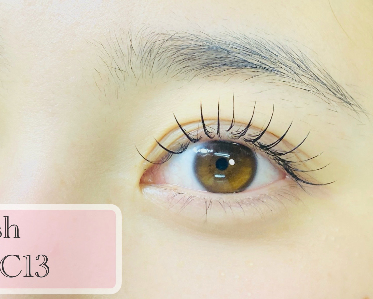 RISE_SOMEYA_eyebrow_eyelash