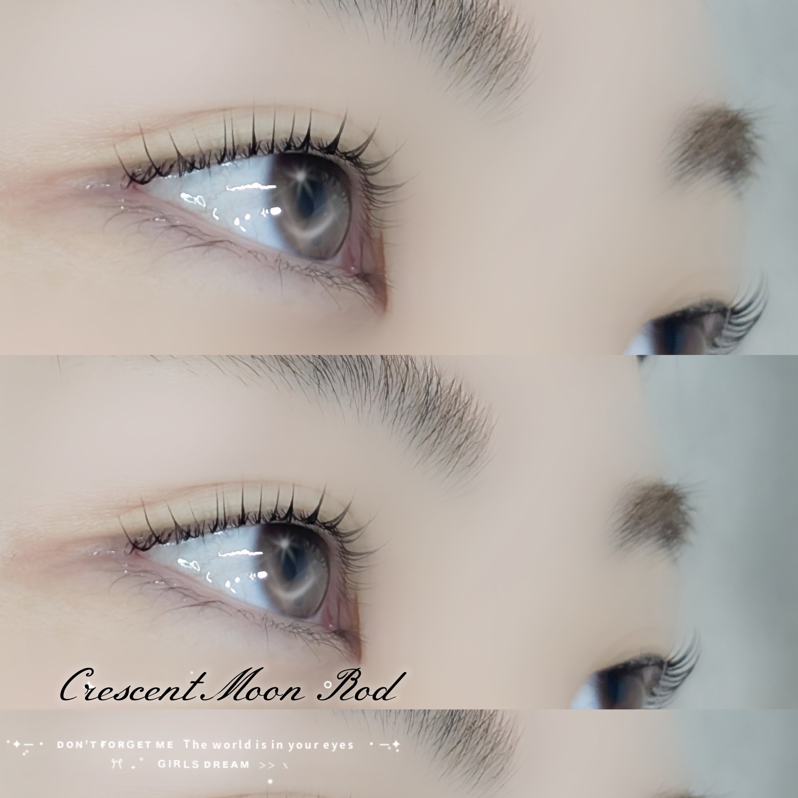 bloom.chihiro