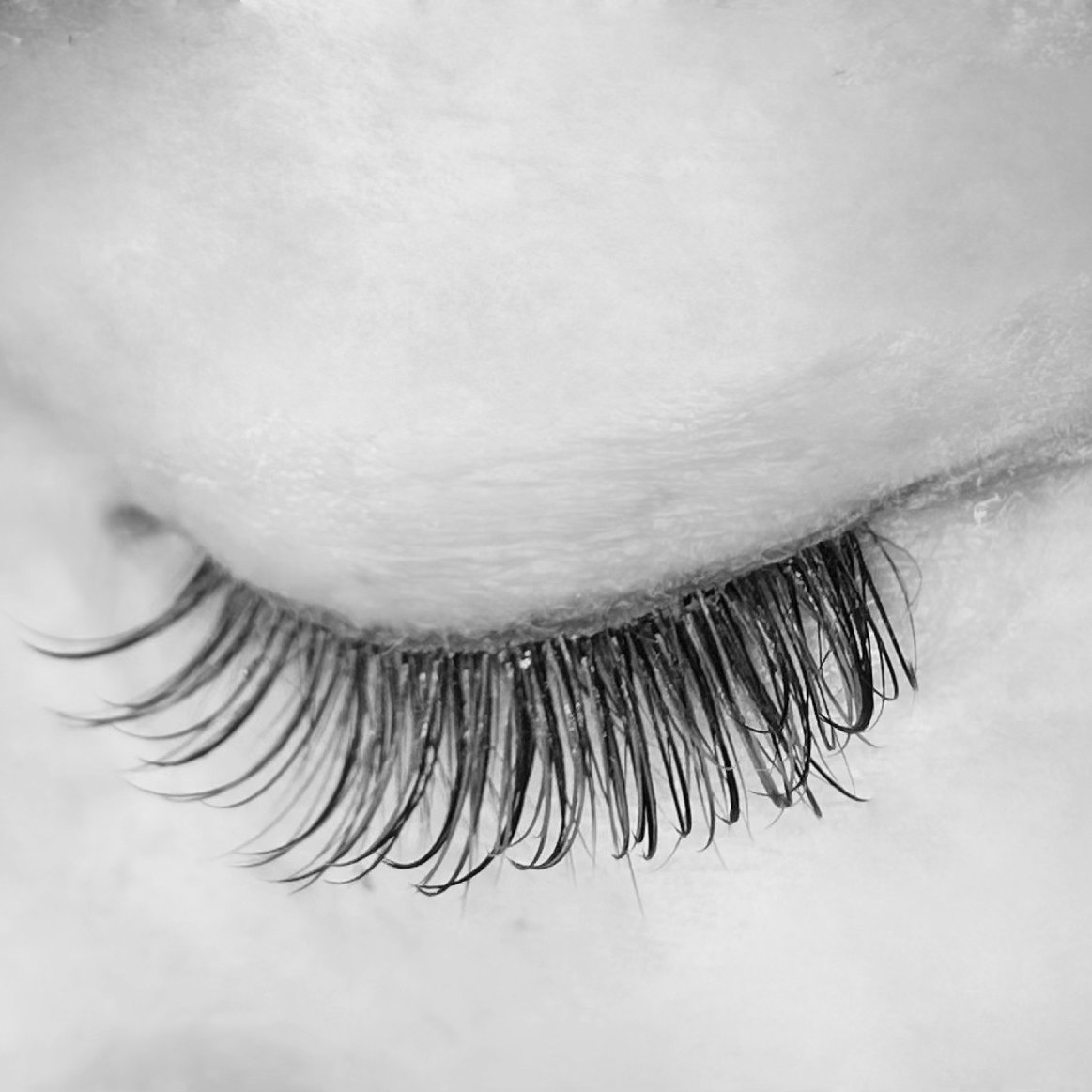 eyelash_CANVAS