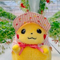 griotte_00