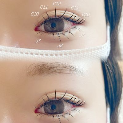 上下振り分け自由フラットラッシュ160本🎀✨〈例〉上120本、下40本