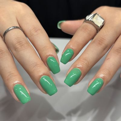 one color【オフ無し】