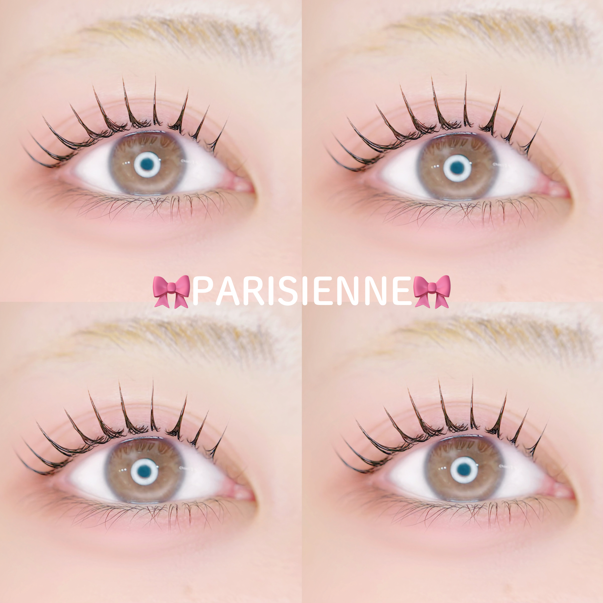 plume_salon