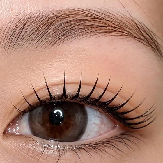 linaeyelash.namba