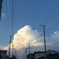 lin05