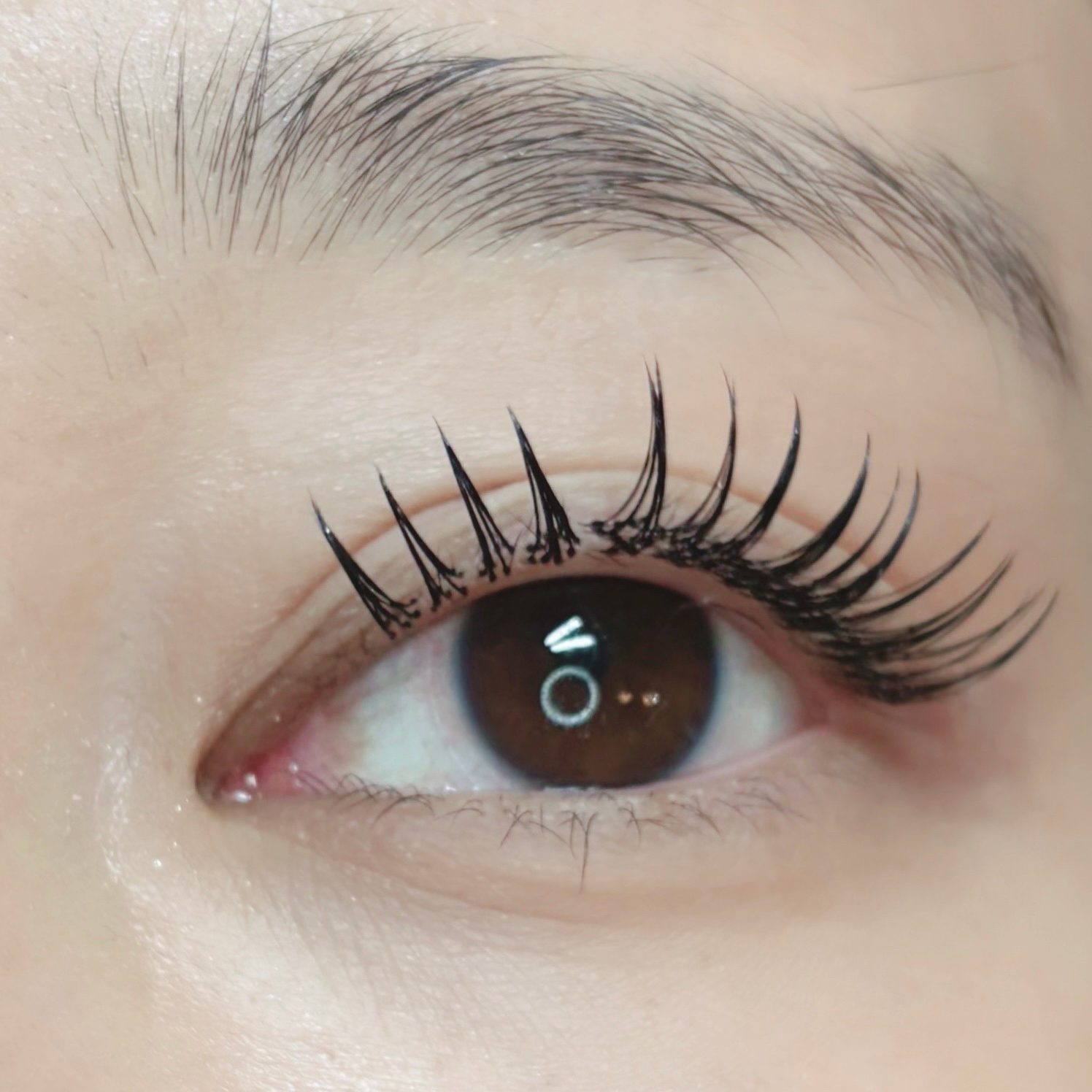 eyelash_kao