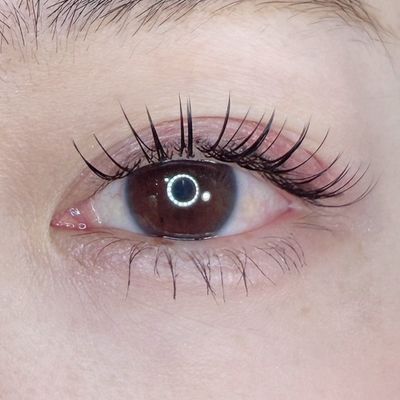 フラットラッシュ140本【オフ込み】
