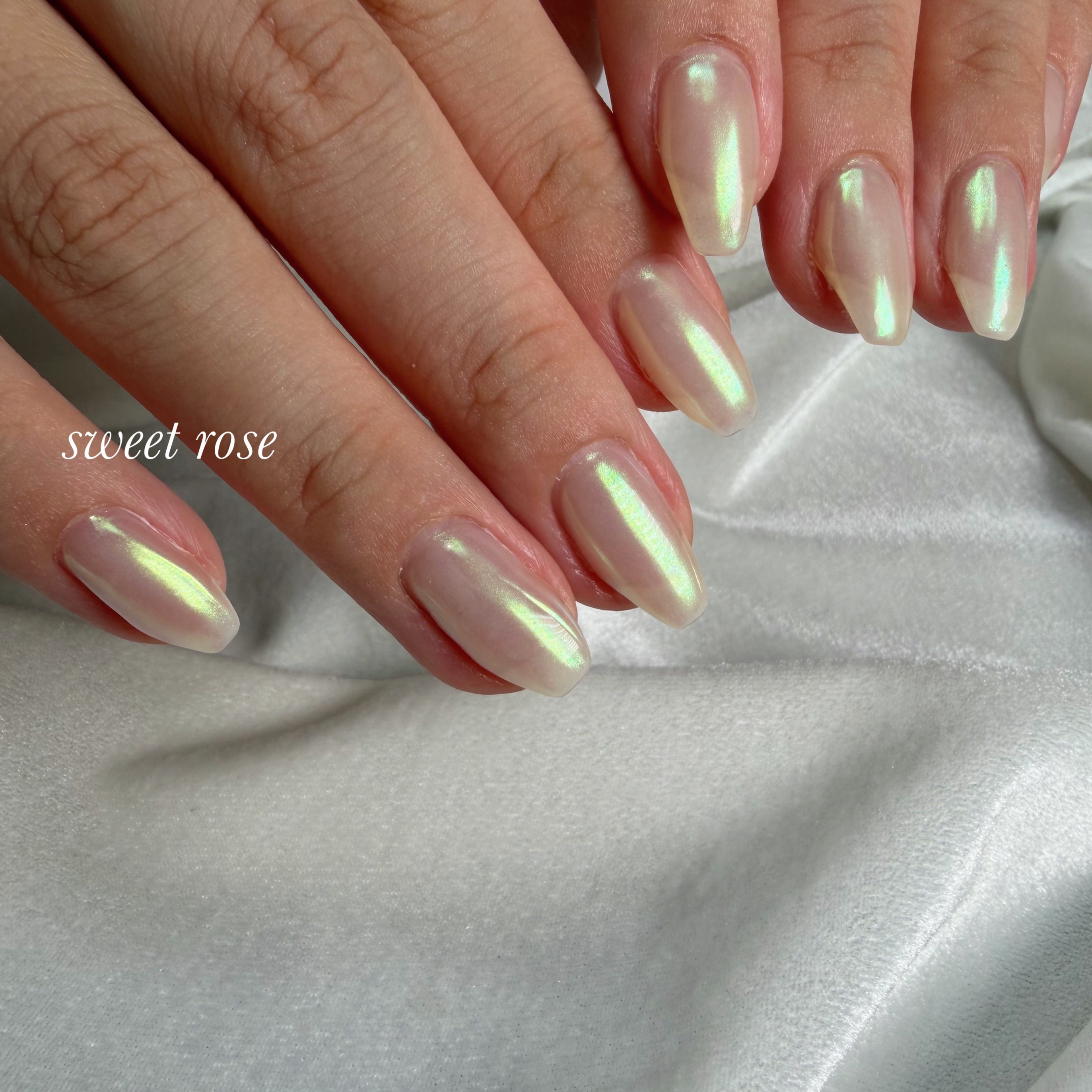 sweet_rose