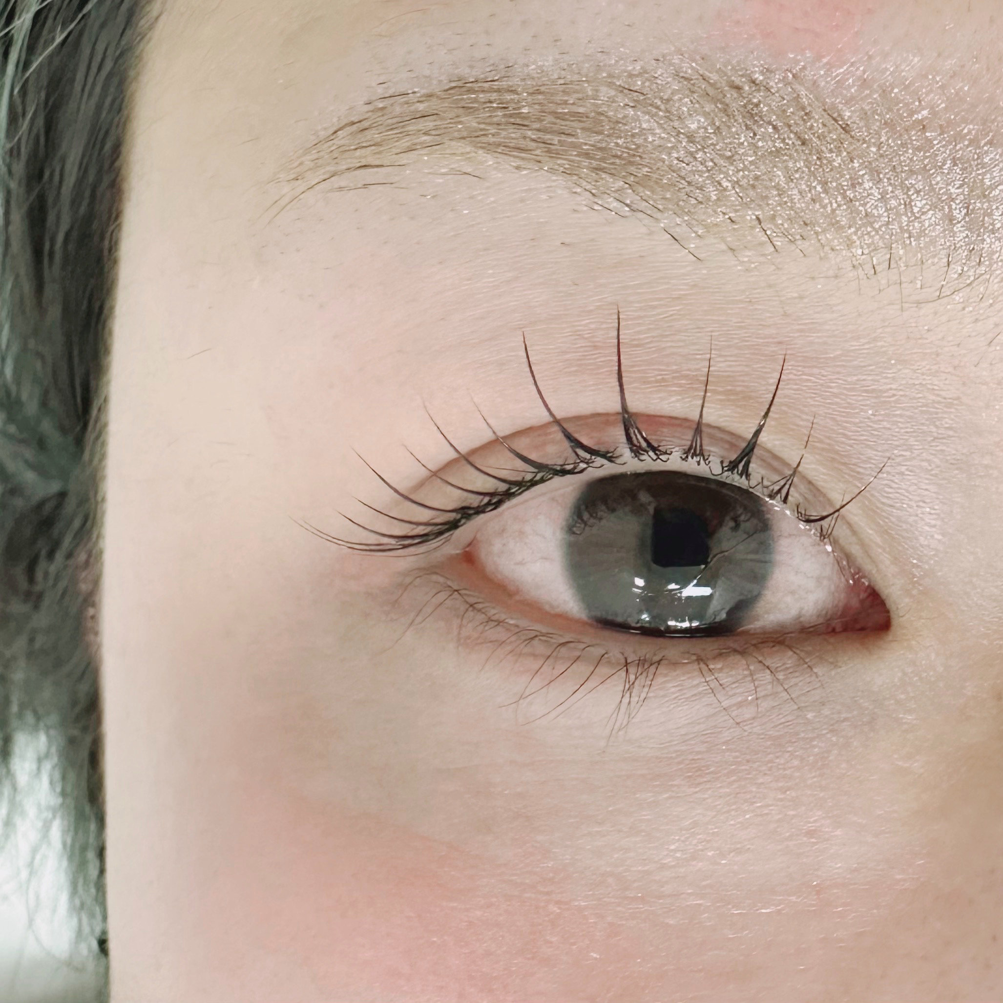 eye_owl_maryyyyyy