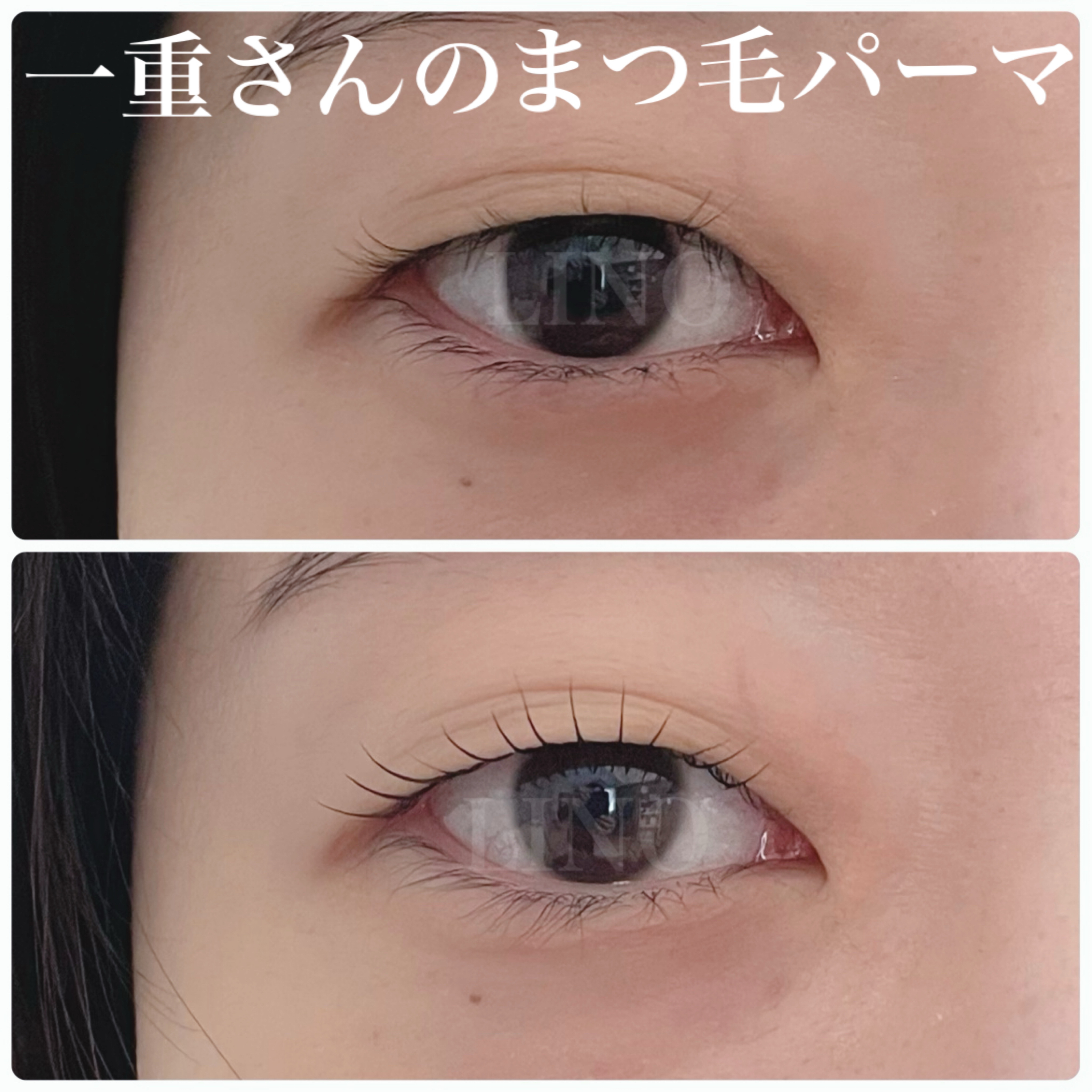 LINO_eyelash.