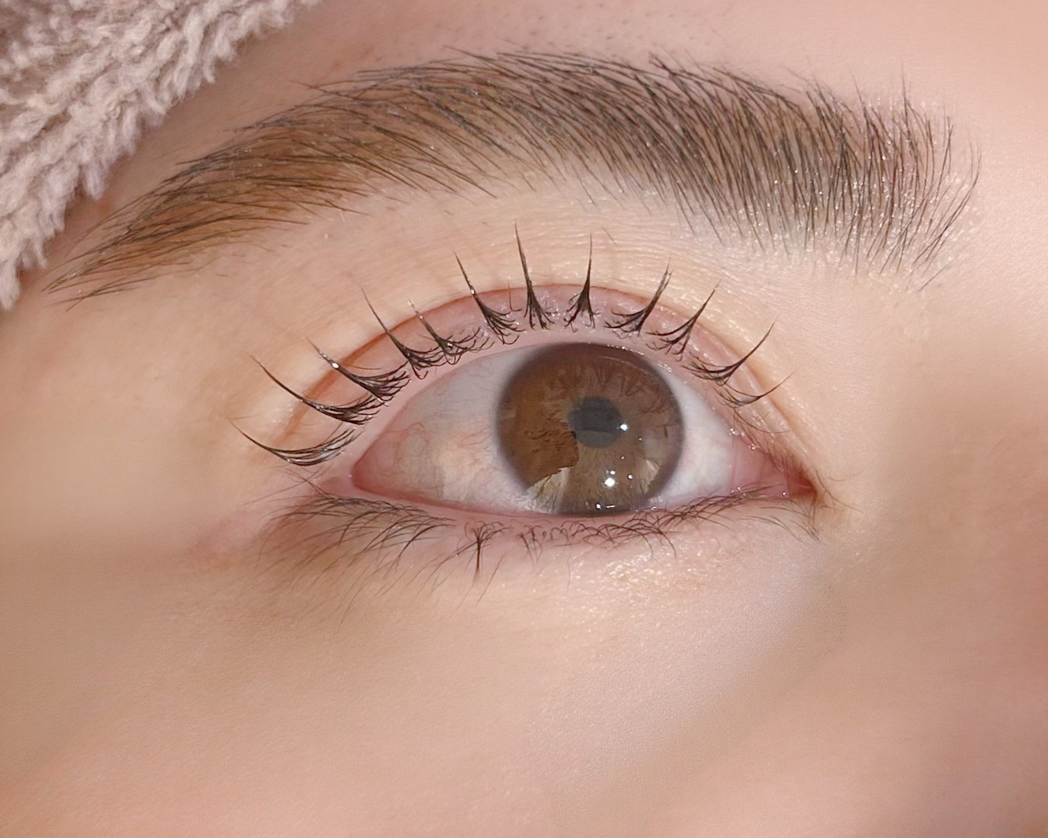 eye_uta