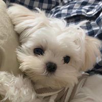 natsumi_ym