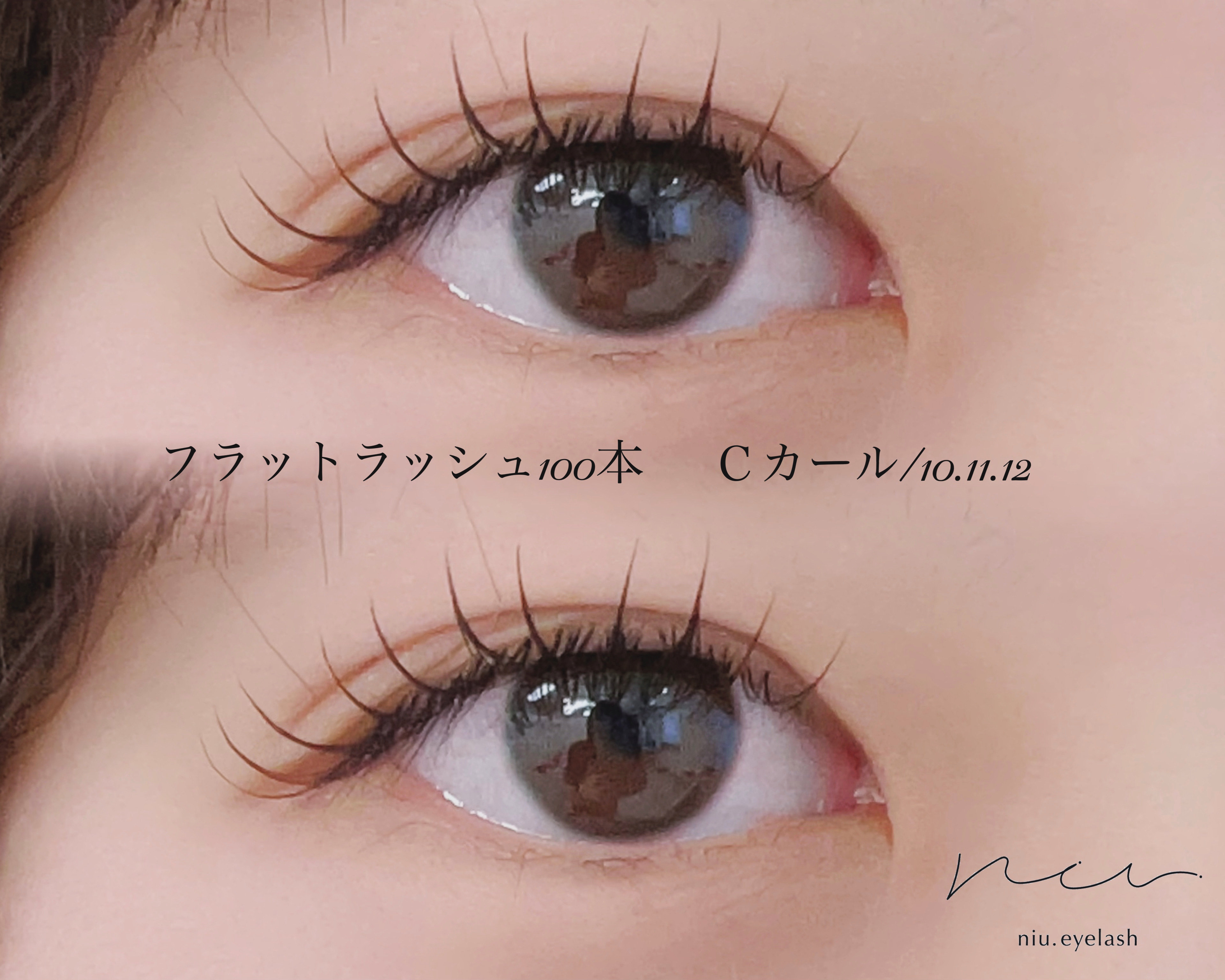 niu_midori