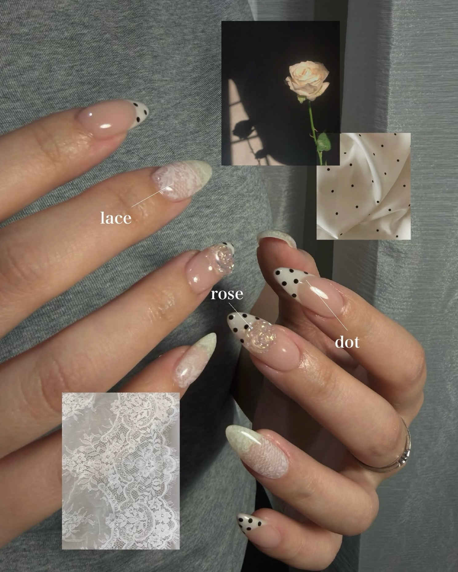 _Aube._moe_