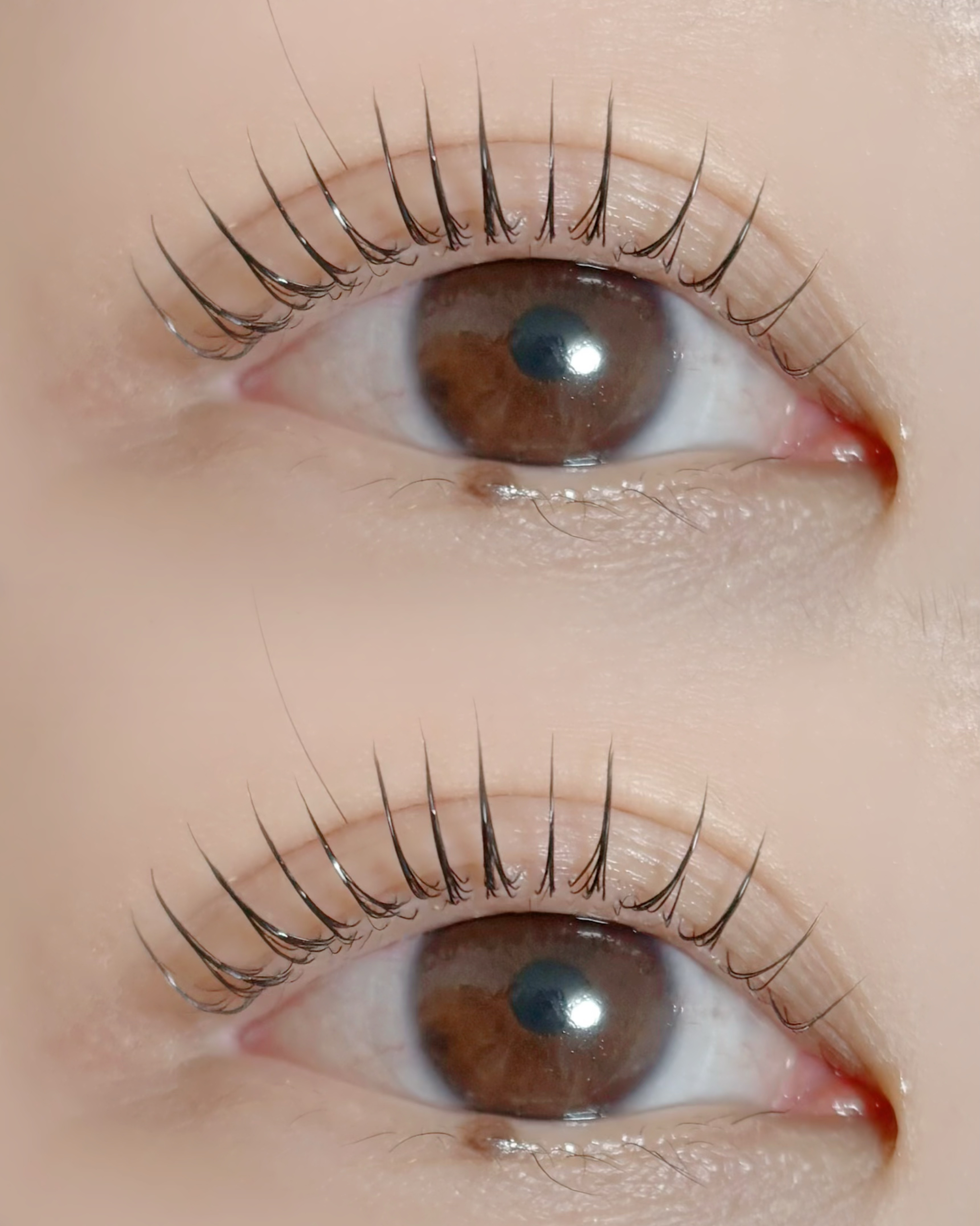 filo_eyelash