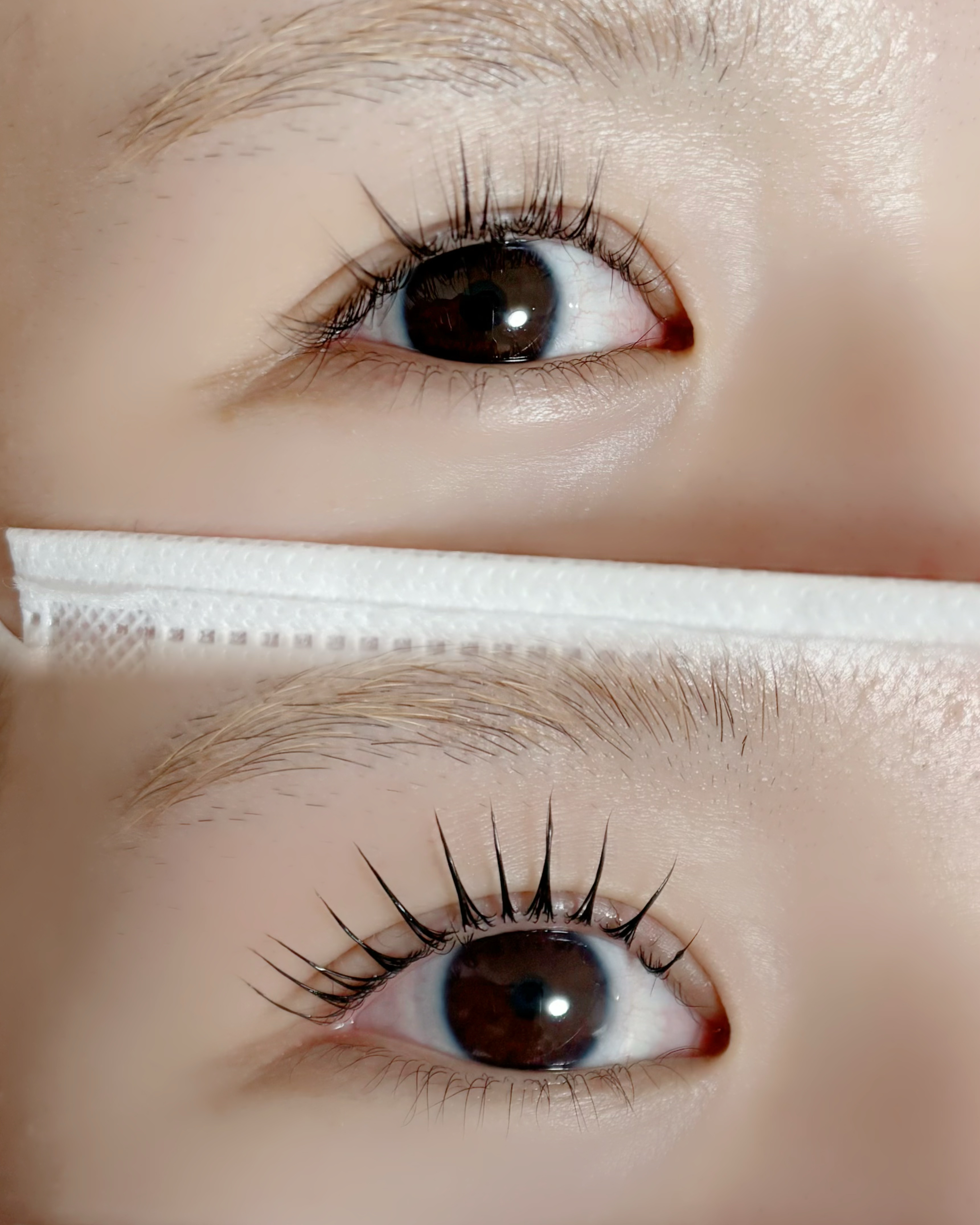filo_eyelash