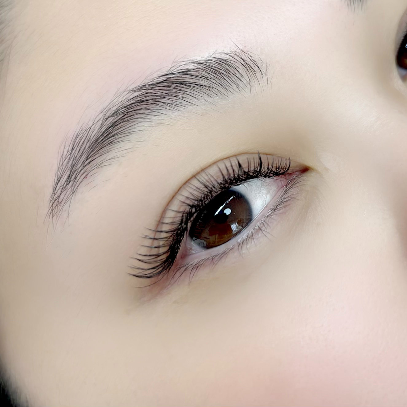 EYElashamo