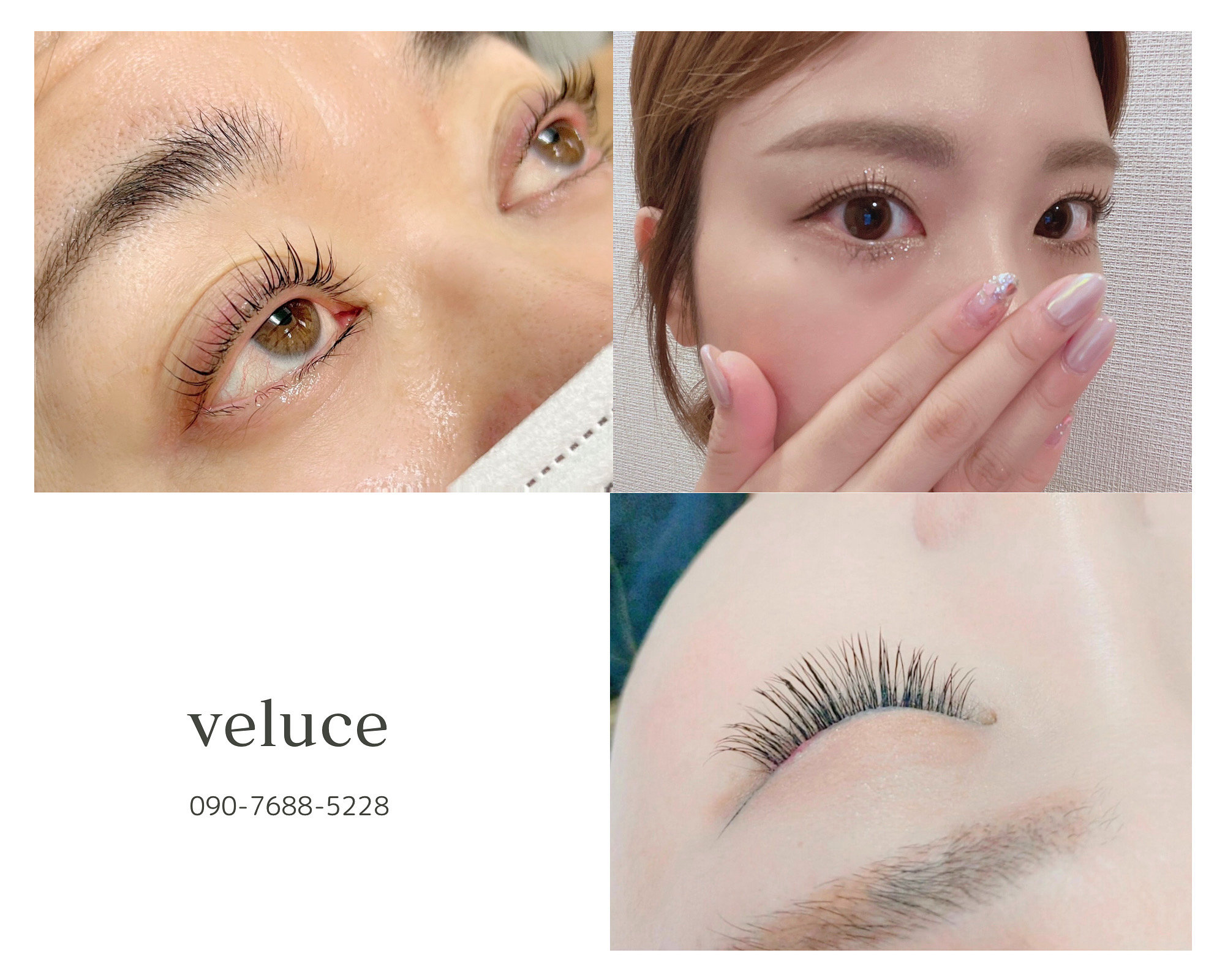 Veluce_kashiwa