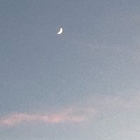 tama_1234