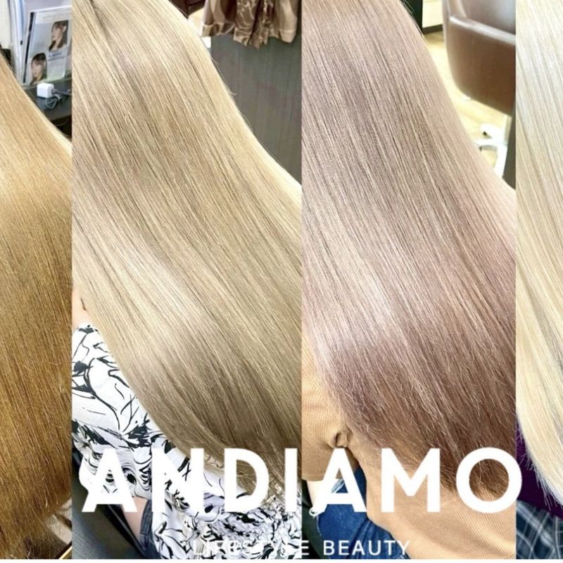 ANDIAMO SAKAE