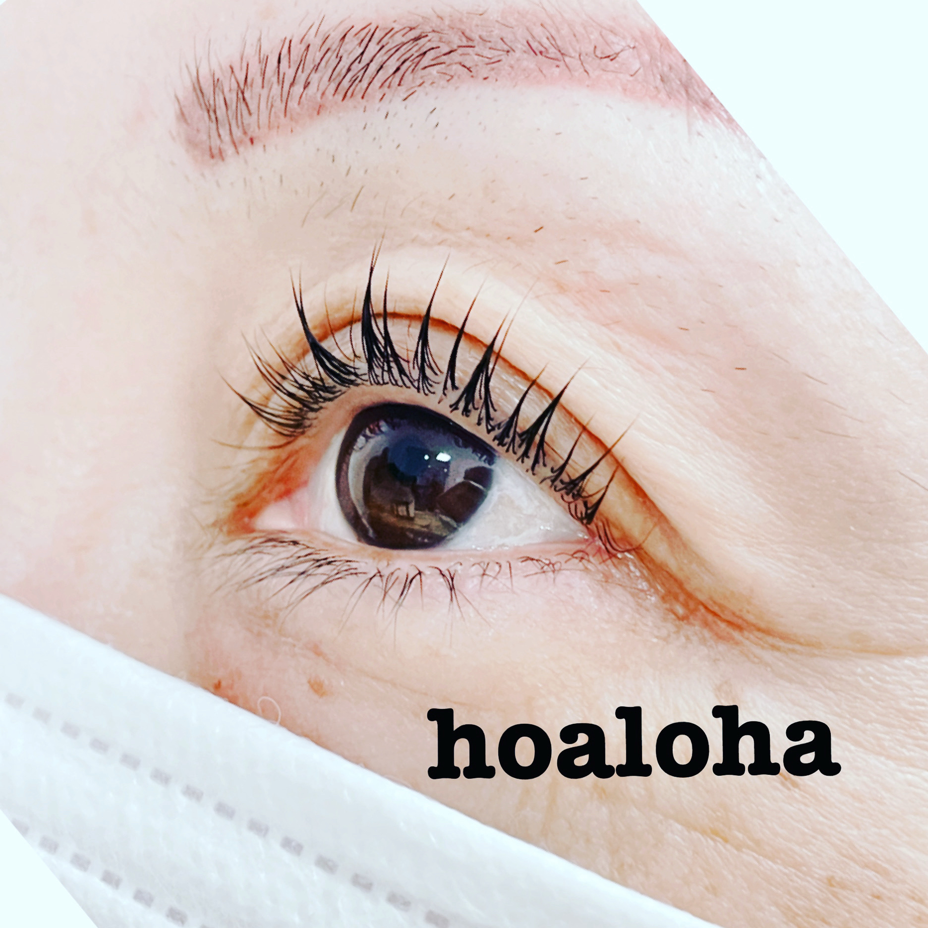 hoaloha.kyoto