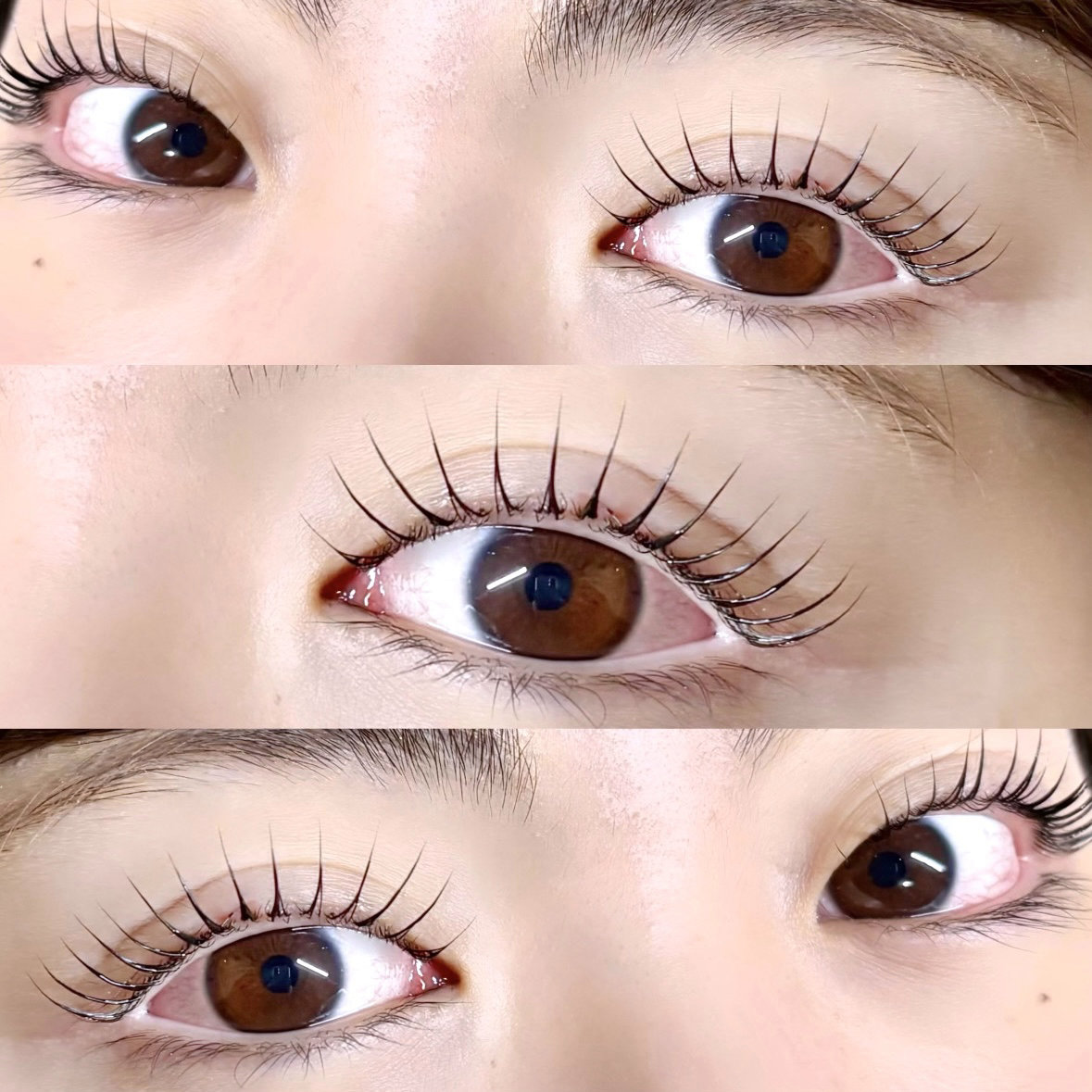 fein_mizuki