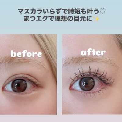 【上】バインドロック80束