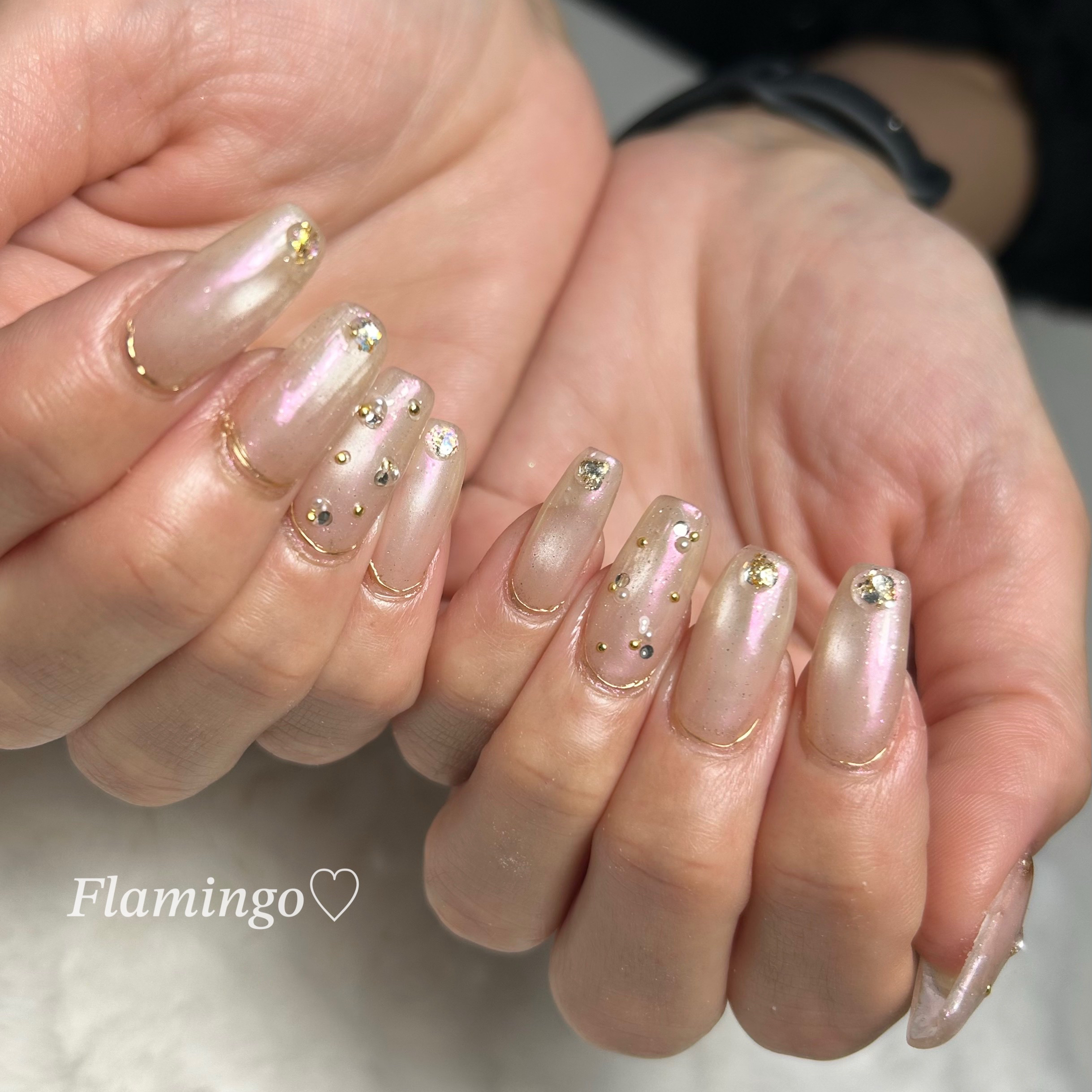 flamingo