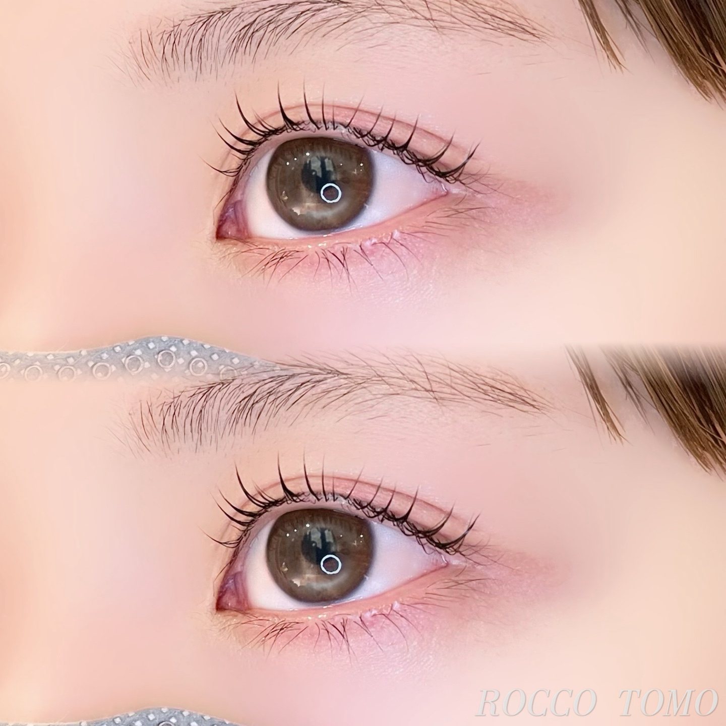 ROCCO_tomo.