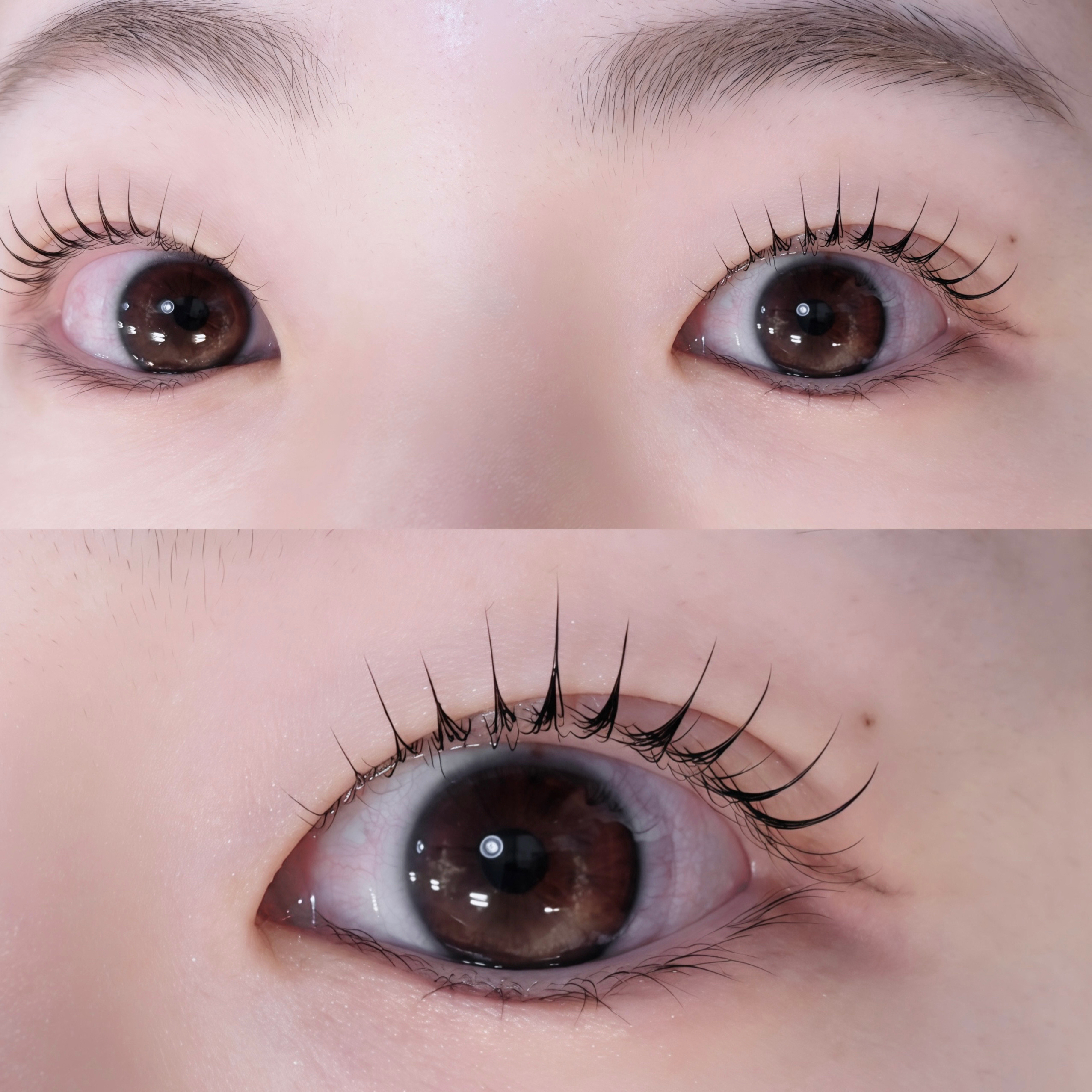 reika_trueye
