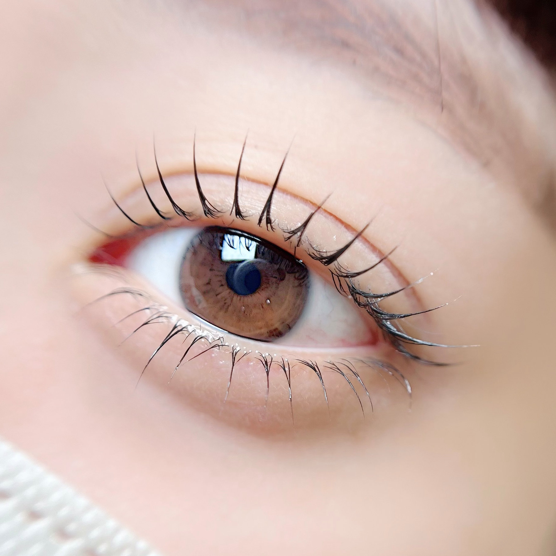 minu.eyelash