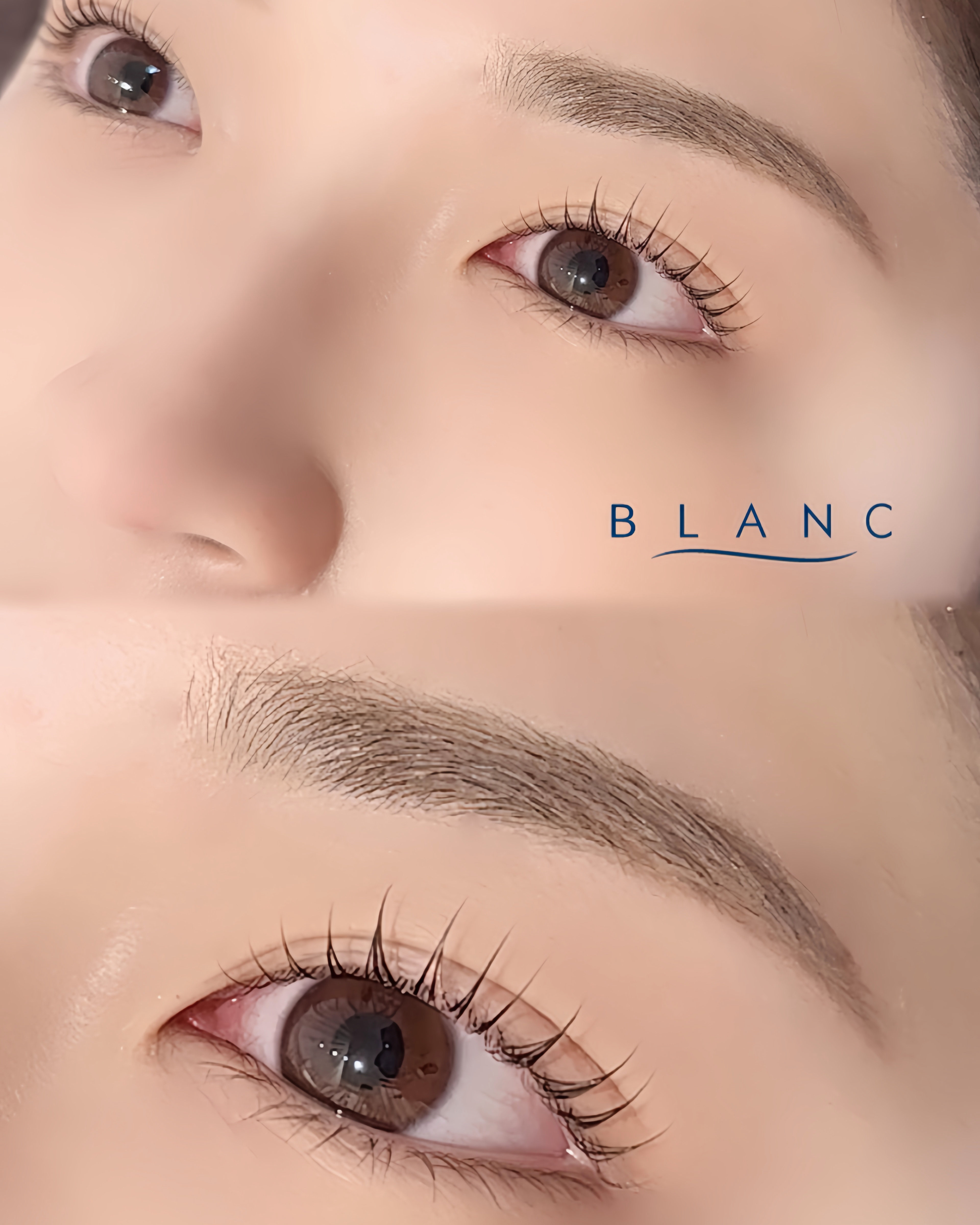 Blanc_kyoraku