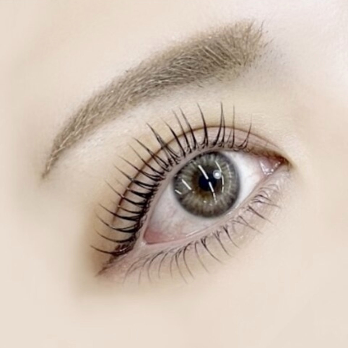 mona.eyelash
