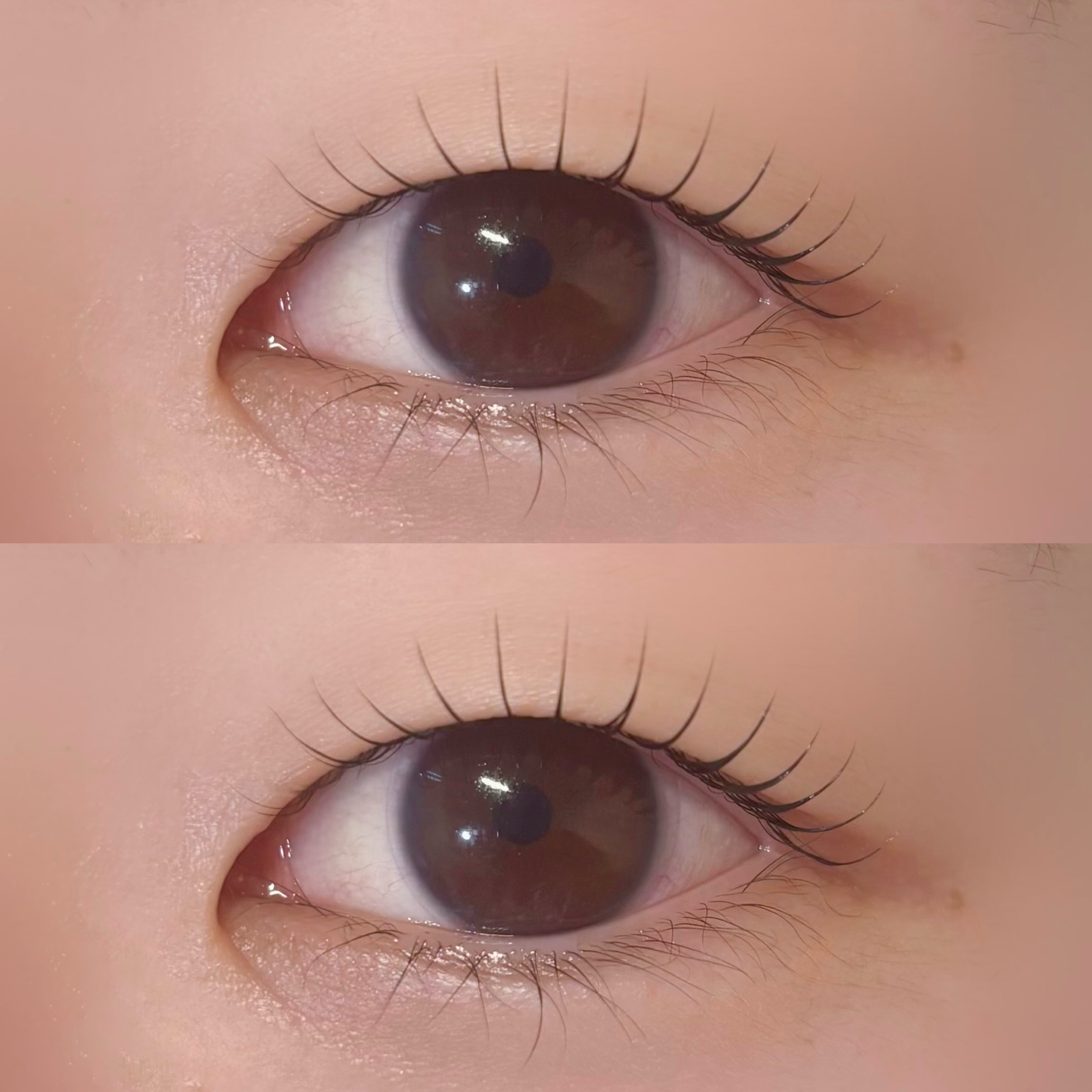 toiro.eye