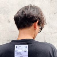 283___tsubasahair