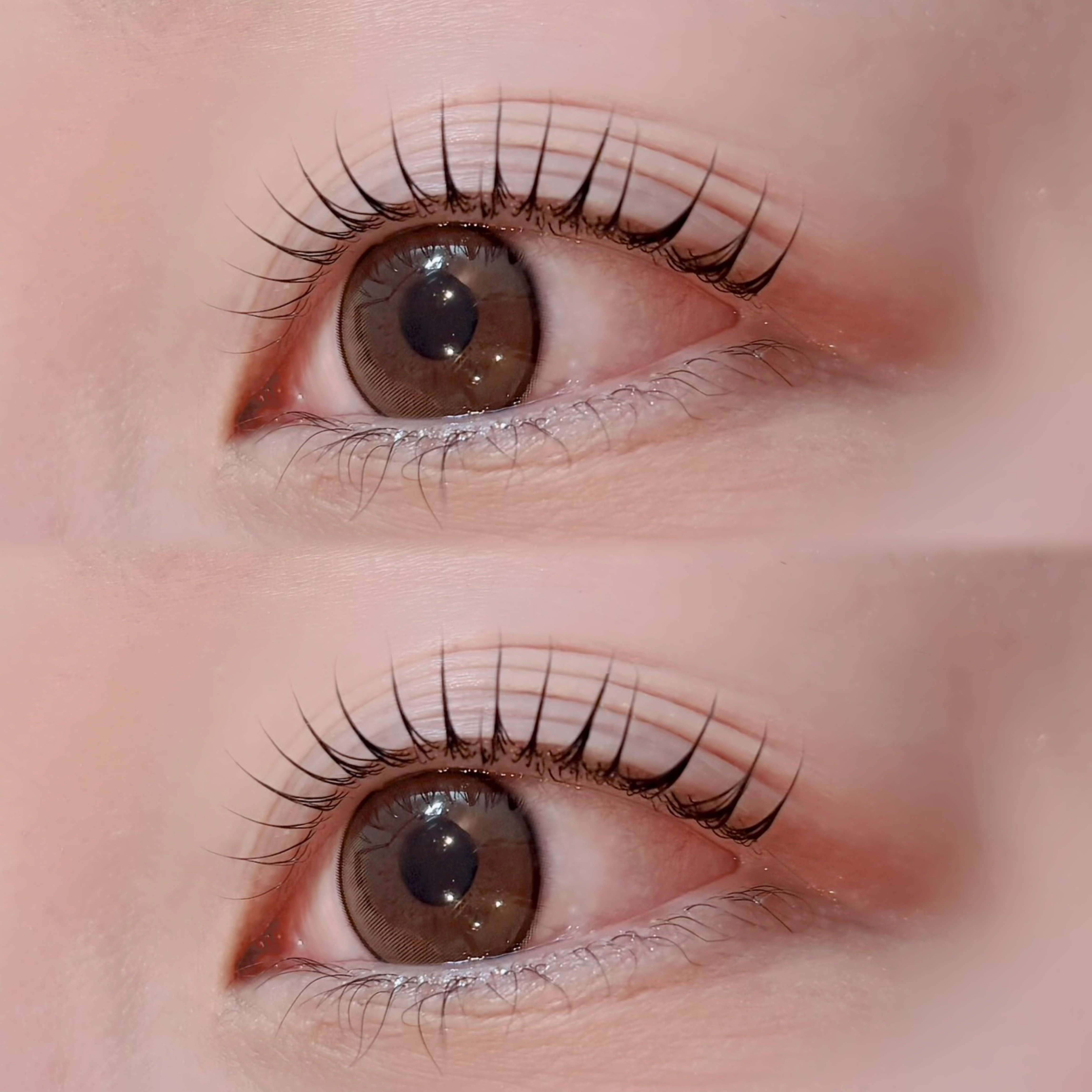 BUCKS_eye