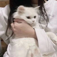 Owupf