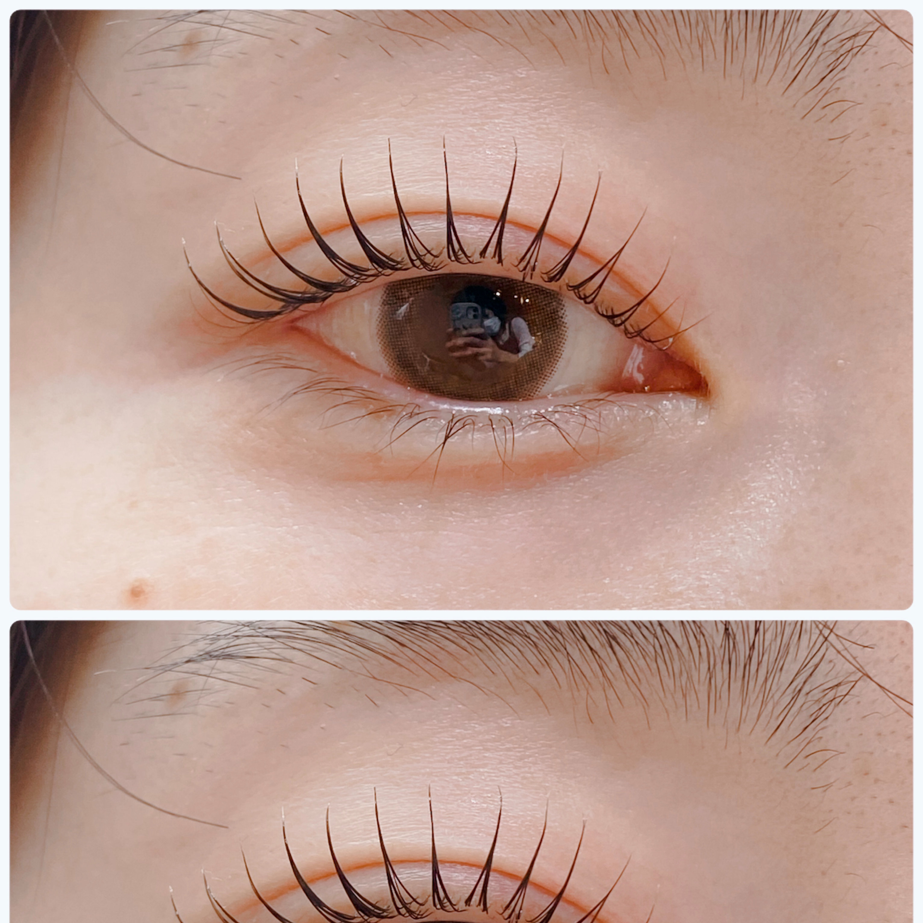 eyelash.ayumi