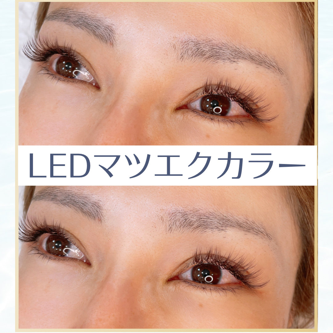 Crea.mayu