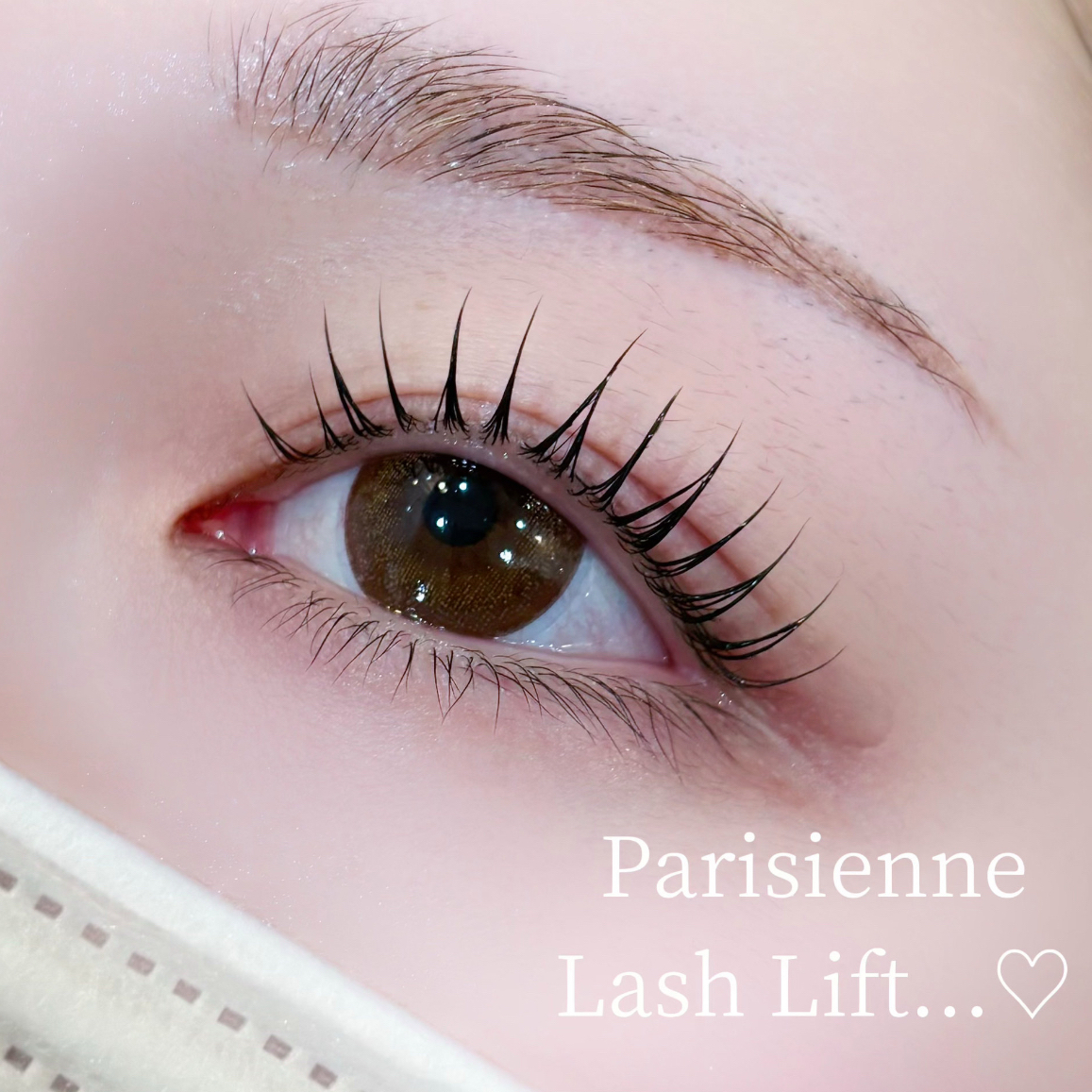 Shizuku_trueye