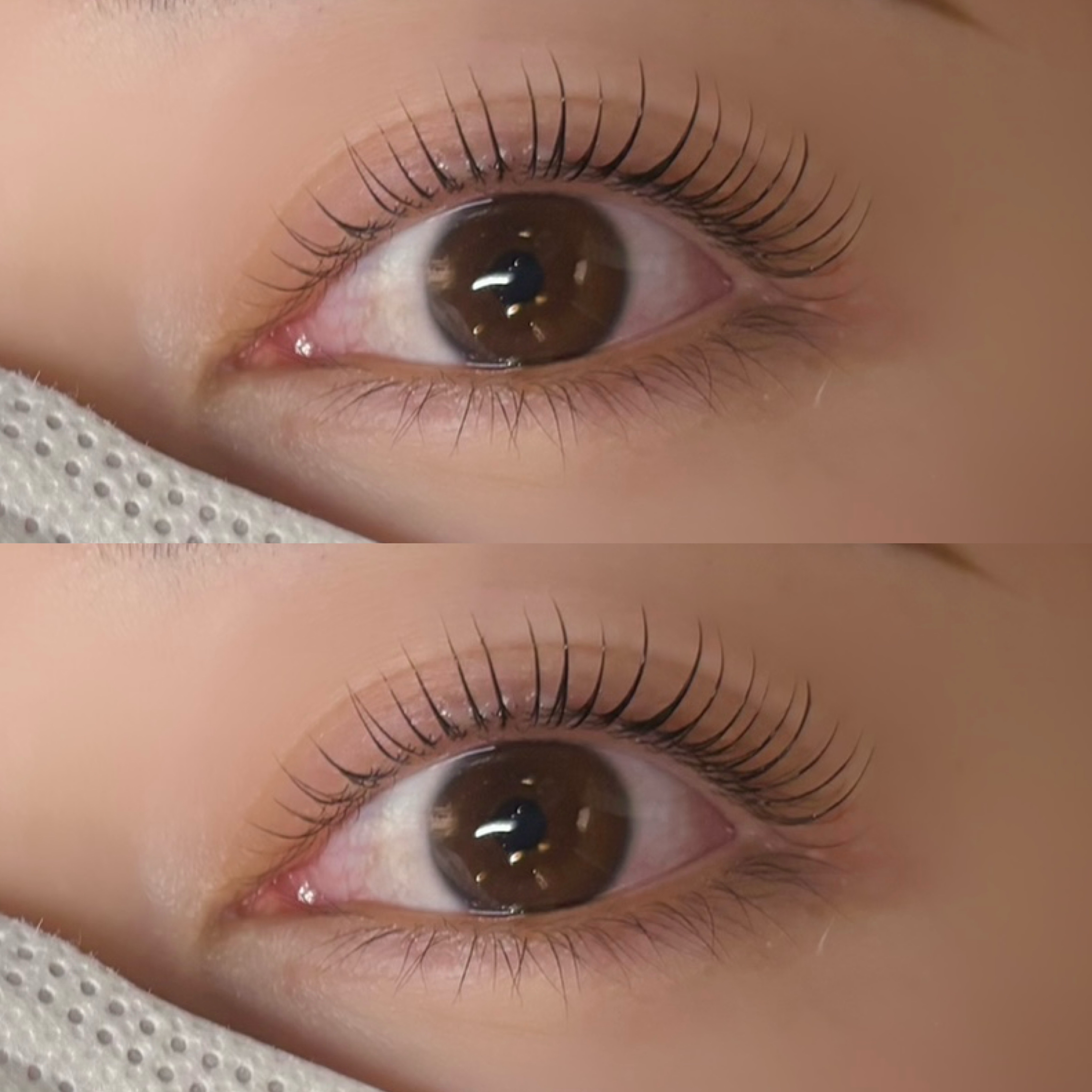 toiro.eye