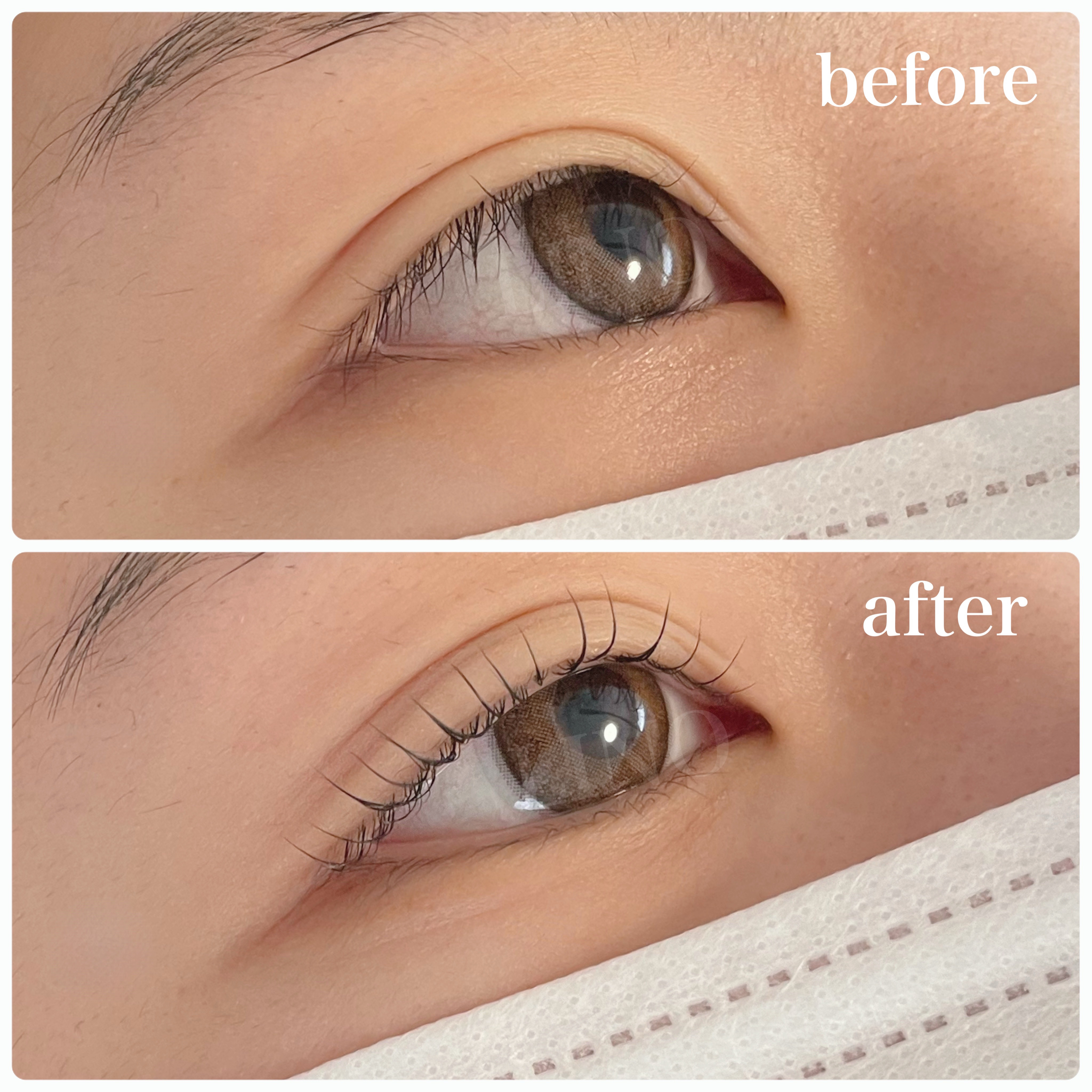 LINO_eyelash.
