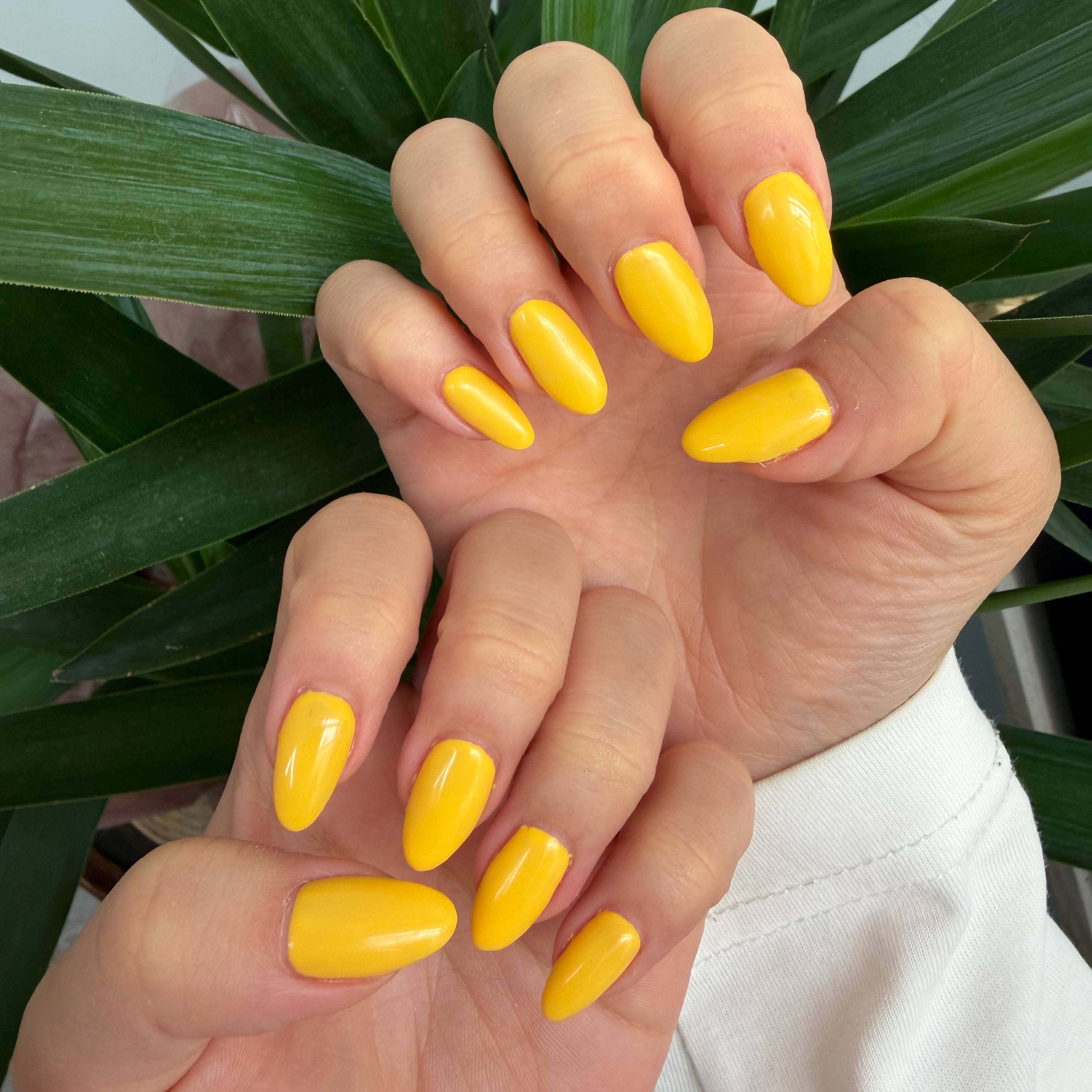 cotto_nail