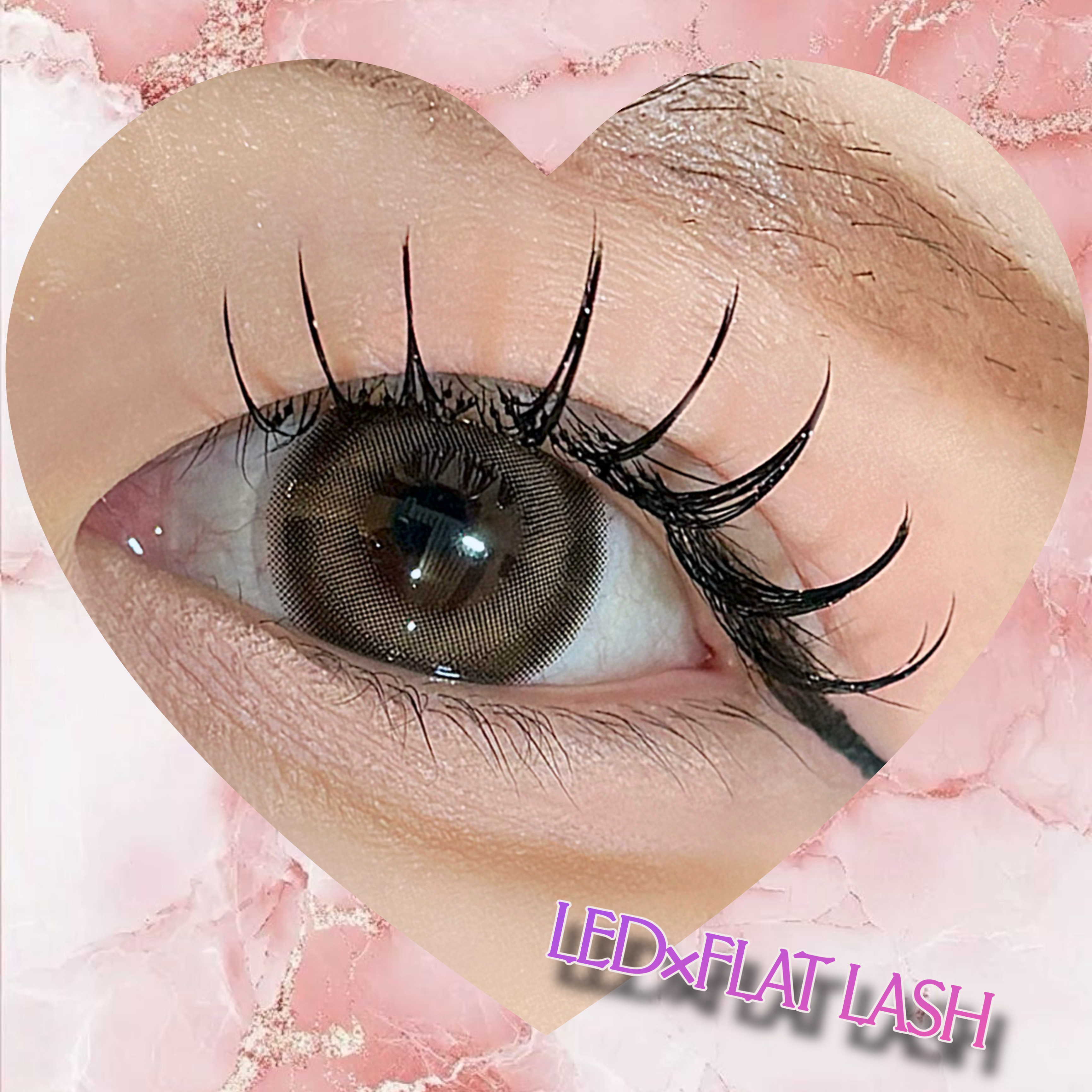 ai__lash__artist