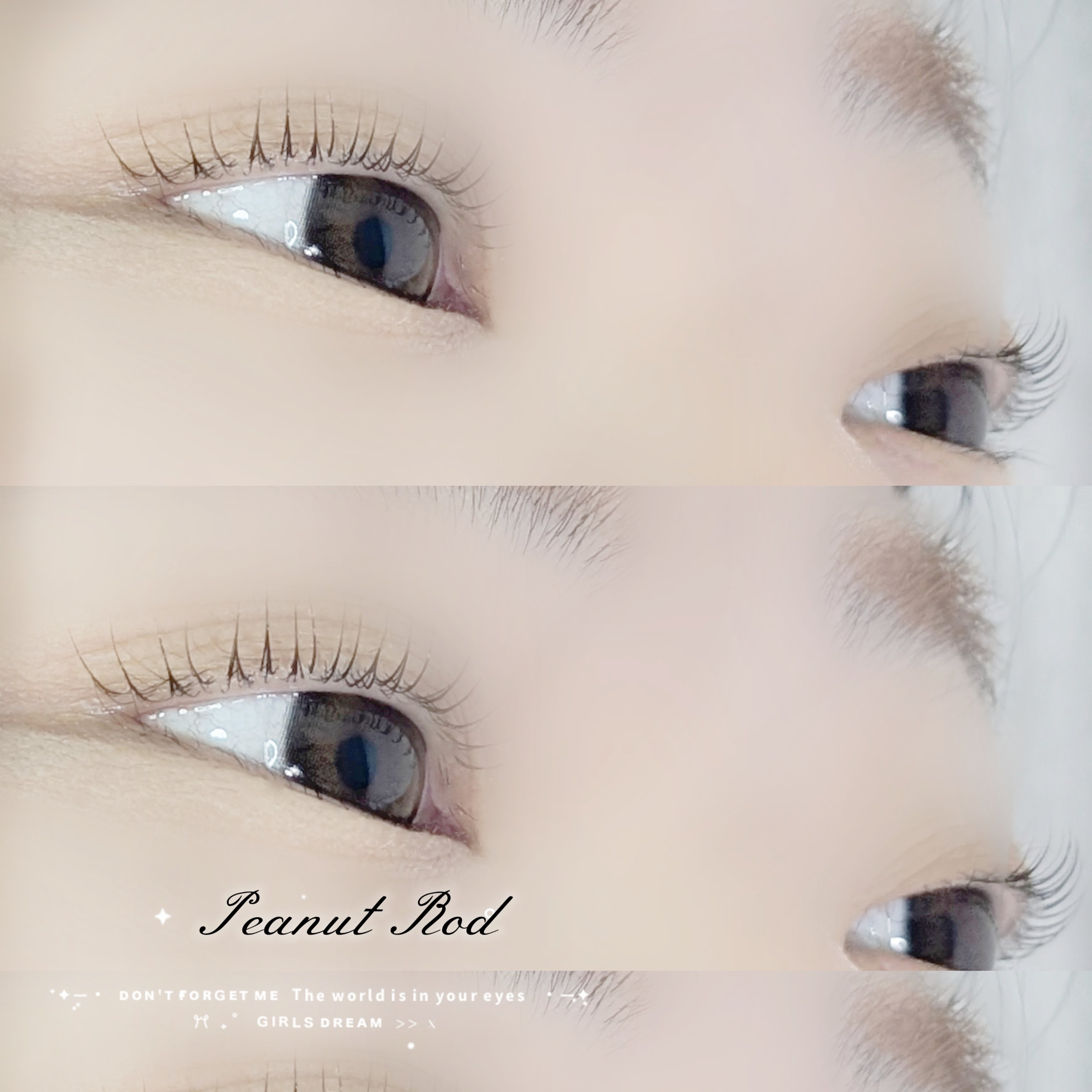 bloom.chihiro