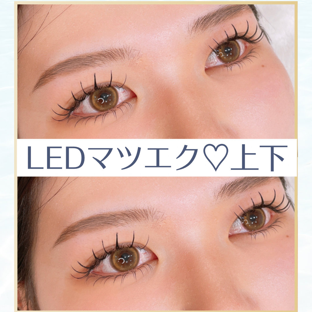 Crea.mayu